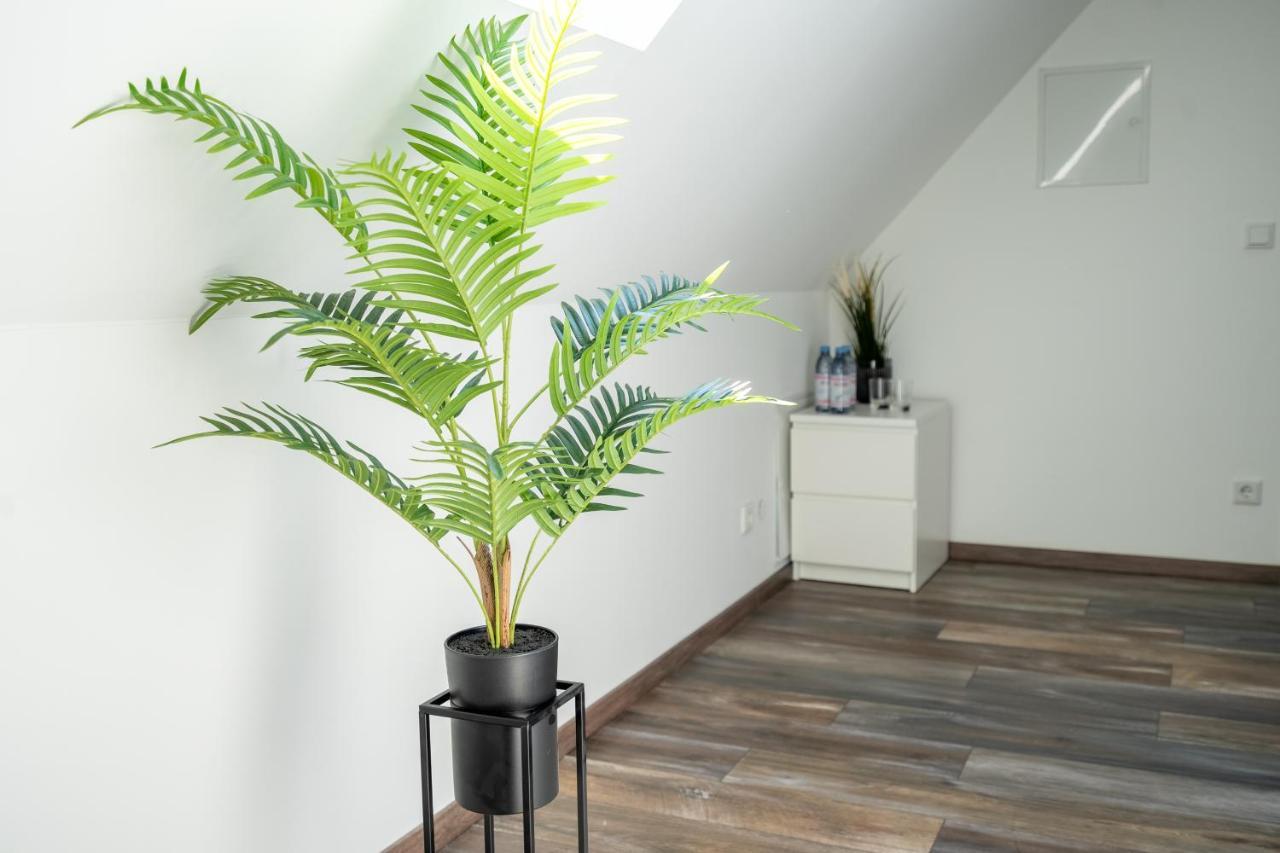 Xxl Superior Apartment 1 - 10 Personen Castrop-Rauxel Bagian luar foto